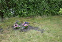 2008 June