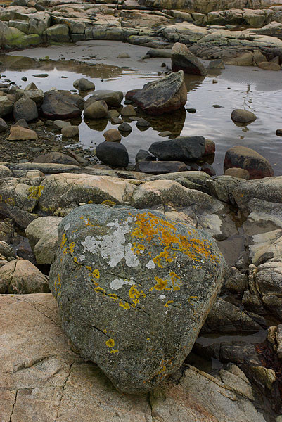 IMGP3648