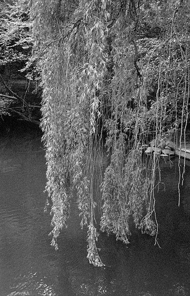 07v20-0003
