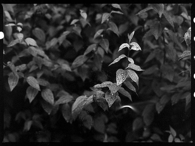 07v32-0011