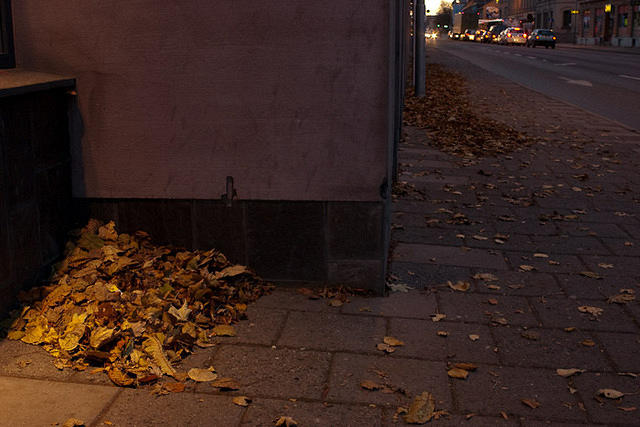 20091103-IMGP9352-2