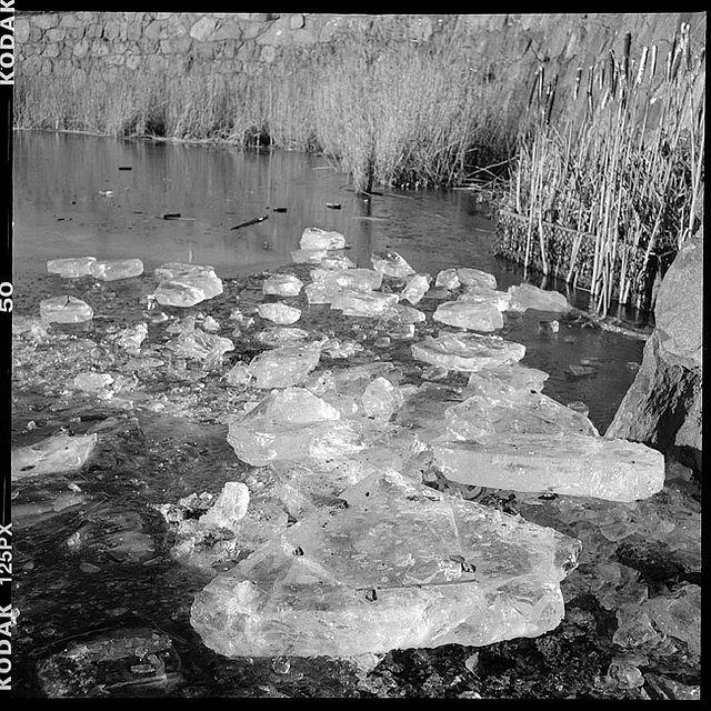 09v02-0009