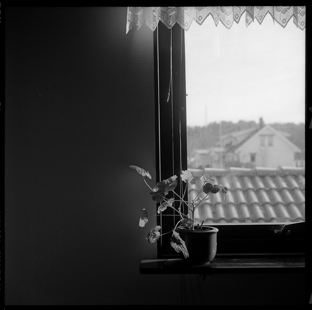 20110226-11v07-39