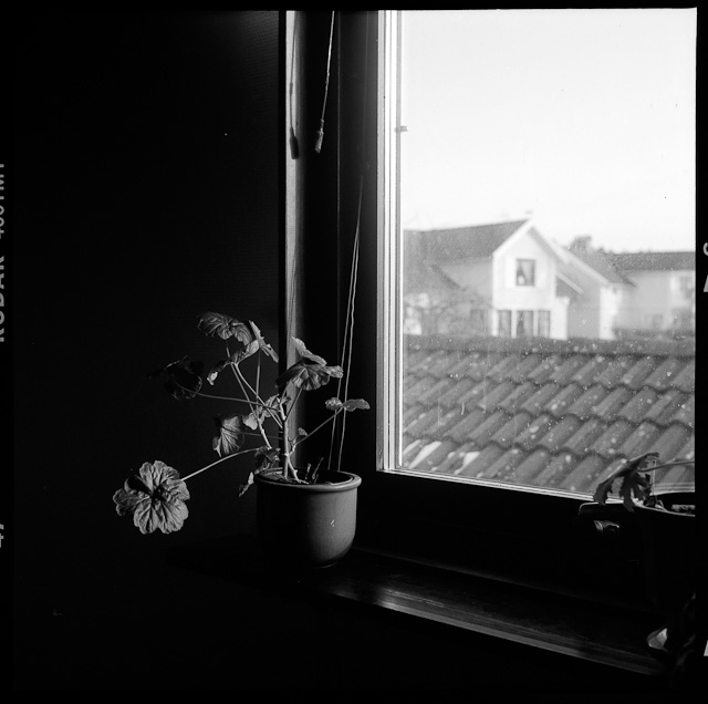 20110226-11v07-40