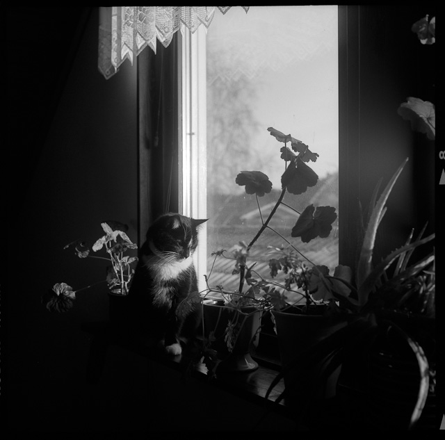 20110226-11v07-42