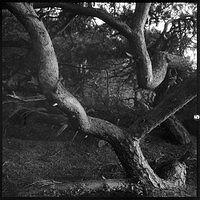 07v09-0012
