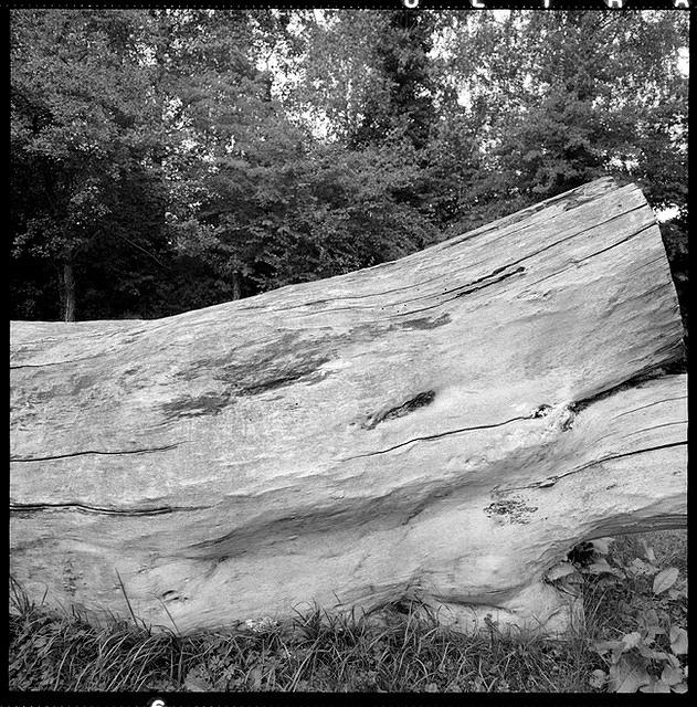 07v34-0006